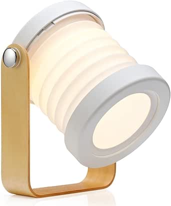 Lantern Light LED Desk Lamp